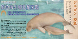 Takara TOMY Arts Yujin 3D Capsule Encyclopedia Marine Mammals (set of 6)