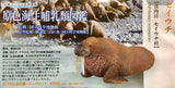 Takara TOMY Arts Yujin 3D Capsule Encyclopedia Marine Mammals (set of 6)