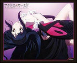 Bushiroad HG Vol.520 Accel World KUROYUKIHIME Floating ver TCG Card Sleeves Pack - DREAM Playhouse