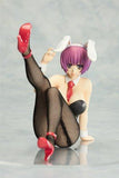 Orchid Seed V.I.P Rare Selection 2010 Winter Aiba Minori 1/7 PVC figure - DREAM Playhouse