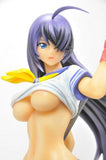 Alphamax Ikki Tousen Great Guardians Kanu Unchou After Battle Ver. 1/6 figure - DREAM Playhouse