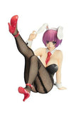 Orchid Seed V.I.P Rare Selection 2010 Winter Aiba Minori 1/7 PVC figure - DREAM Playhouse