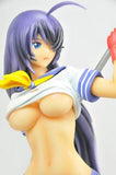 Alphamax Ikki Tousen Great Guardians Kanu Unchou After Battle Ver. 1/6 figure - DREAM Playhouse