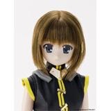 AZONE 035 Magical Girl Lyrical Nanoha SS Hayate Yagami 1/6 fashion Doll - DREAM Playhouse