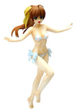 Wave Treasure Figure Collection Dojin Work Osana Najimi 1/10 PVC figure-DREAM Playhouse