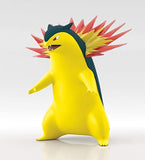 Bandai Pocket Monster Pokemon Hibiki and Bakuhoon 1/20 Scale World Johto Set