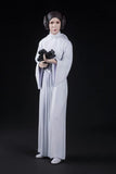 Kotobukiya Artfx+ Star Wars  Luke Skywalker and Princess Leia 1/10 PVC figure - DREAM Playhouse