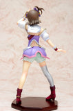Wave Dream Tech Idol Master XENOGLOSSIA Futami Ami Ryugukomachi Ver. 1/8 PVC figure-DREAM Playhouse