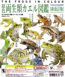 Takara TOMY Yujin The frogs in Color Gashapon figure New Collection (set of 15) - DREAM Playhouse