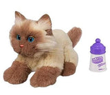 Hasbro Fur Real Friends Kitten (Burmese) - DREAM Playhouse