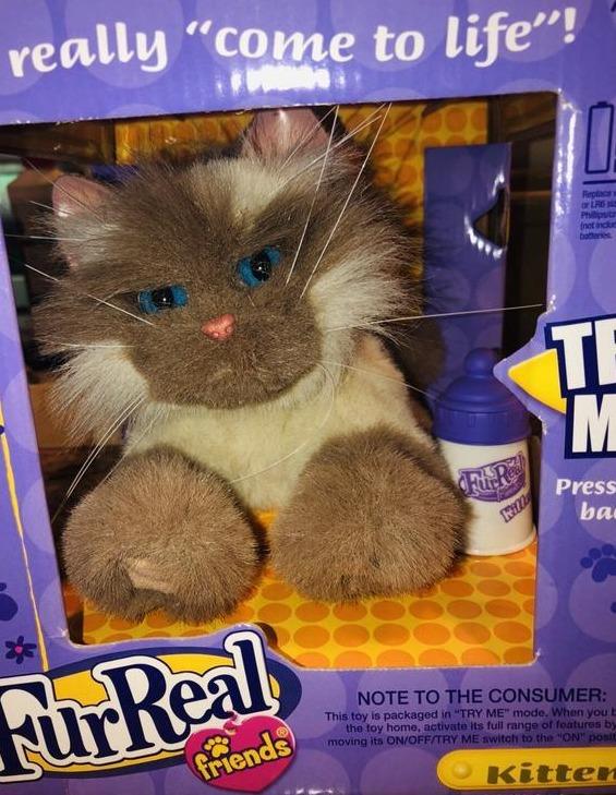 Furreal best sale friends kitten