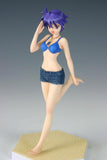 Wave Magical Girl Lyrical Nanoha Striker S Subaru Nakajima 1/10 PVC figure - DREAM Playhouse