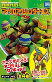 Takara TOMY Teenager Mutant Ninja Turtles TMNT Trading figure - DREAM Playhouse