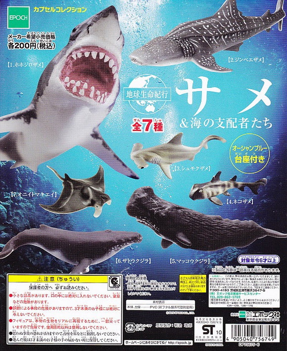 Epoch Journey of Earth's Life Encyclopedia Shark & Rulers of the Sea figure (set of 7)