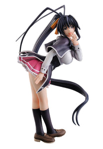 FREEing High School DxD Akeno Himejima Kuoh Academy 1/8 PVC figure