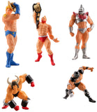 Kaiyodo Capsule Q Kinnikuman Superhuman Encyclopedia figure (set of 5)