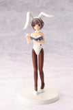 Chara-ani Toy's Work The Melancholy of Haruhi Suzumiya DX figure (set of 9)