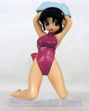 Happinet GFC Ninja Nonsense Legend of Shinobu girl figure (set of 5)
