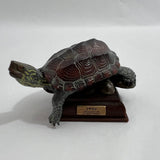 Kitan Club Nature Techni Color Japan Turtle encyclopedia Real figure