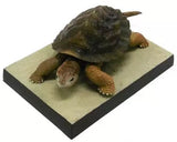 Konami SF Gamera Chronicles Little Heroes figure Collection (set of 6)
