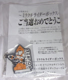 Bandai Kamen Masked Rider Fourze Astro Switch Miracle Rider Box