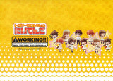 Chara-ani Toy's work Collection 2.5 Niitengo WORKING!! figure (set of 11)