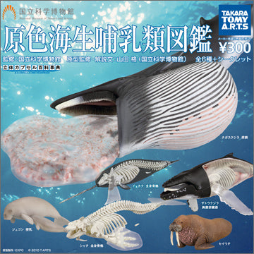 Takara TOMY Arts Yujin 3D Capsule Encyclopedia Marine Mammals (set of 6)