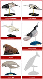 Takara TOMY Arts Yujin 3D Capsule Encyclopedia Marine Mammals (set of 6)