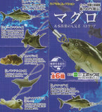 Epoch Journey of Earth's Life Encyclopedia Tuna & Aquarium Favorites figure Strap (set of 6)