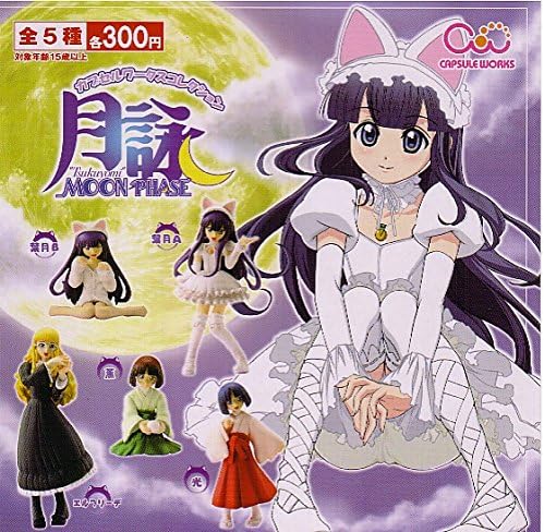Chara-ani Capsule Works Tsukuyomi Moon Phrase gacha figure (set of 5)