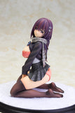 Alphamax Skytube Mataro JK Muicha Imashita 1/6 PVC figure STP Limited