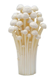 Kitan Club Nature Techni Color MONO Mushroom Soft Strap 2 (set of 8)