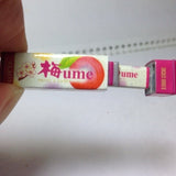 Bandai Japanese food goods LOTTE Gum Nyokkiri Strap Mascot (set of 8)