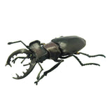 F-toys Mushiking King of Beetles Insect Hunter Stag Beetle 2013 (set of 5)