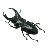 F-toys Mushiking King of Beetles Insect Hunter Stag Beetle 2013 (set of 5)