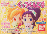 Bandai Precure Futari wa Pretty Cure Splash Star Get Together Refrigerator Magnets (set of 8)
