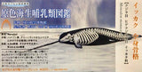 Takara TOMY Arts Yujin 3D Capsule Encyclopedia Marine Mammals (set of 6)