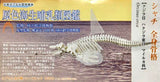 Takara TOMY Arts Yujin 3D Capsule Encyclopedia Marine Mammals (set of 6)