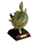 Kitan Club Nature Techni Color Japan Turtle encyclopedia Real figure