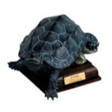 Kitan Club Nature Techni Color Japan Turtle encyclopedia Real figure