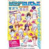 Chara-ani Toy's work 2.5 Niitengo Denpa Psychoelectric girl figure (set of 11)