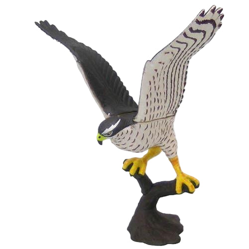 Furuta choco egg animal collection birds Trading figure (set