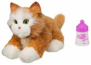 Hasbro Fur Real Friends Kitten (Marmalade) - DREAM Playhouse