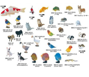 Furuta choco egg animal collection Pet animal Trading figure (set of 30) - DREAM Playhouse