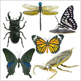 Takara TOMY Yujin The insect of Japan in Color Gashapon figure Part 3 (set of 7) - DREAM Playhouse