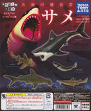Takara TOMY Arts Yujin The Mysterious Encyclopedia Omi Predator Shark (set of 5) - DREAM Playhouse