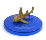 Takara TOMY Arts Yujin The Mysterious Encyclopedia Omi Predator Shark (set of 5) - DREAM Playhouse