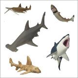 Takara TOMY Arts Yujin The Mysterious Encyclopedia Omi Predator Shark (set of 5) - DREAM Playhouse