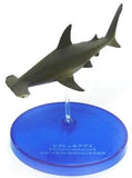 Takara TOMY Arts Yujin The Mysterious Encyclopedia Omi Predator Shark (set of 5) - DREAM Playhouse