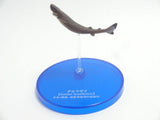 Takara TOMY Arts Yujin The Mysterious Encyclopedia Omi Predator Shark (set of 5) - DREAM Playhouse